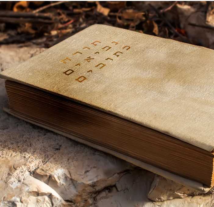 Hebrew Text Files Dataset