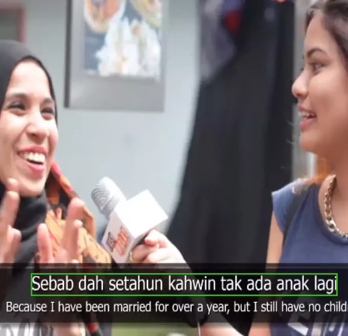 Malay Media Audio Dataset