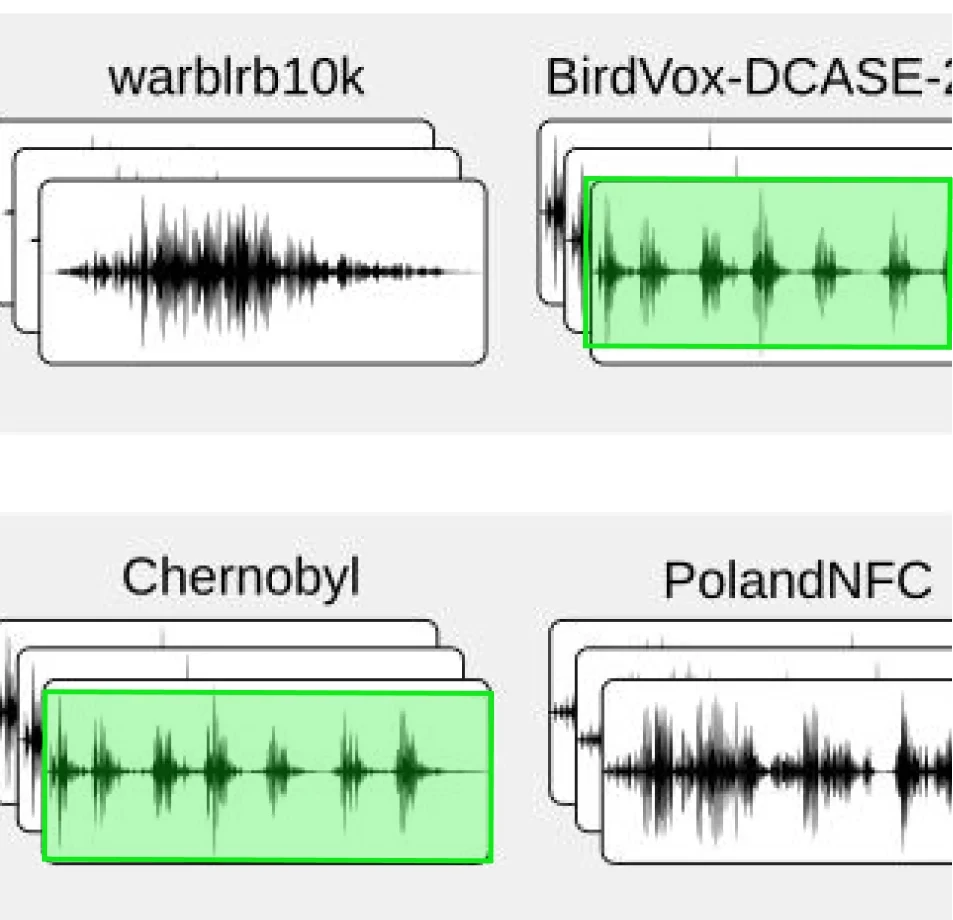 Case Study Image 2