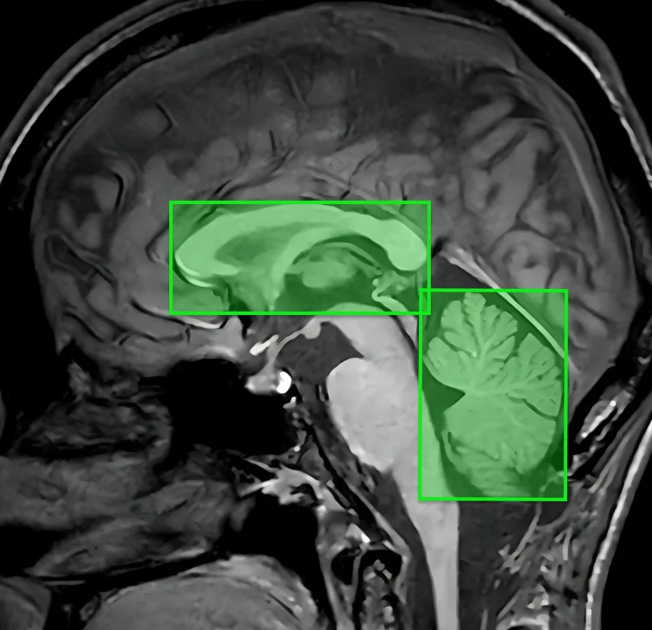 Medical Data Collection