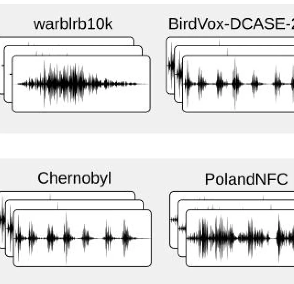 Audio Datasets for Healthcare & Conversational AI