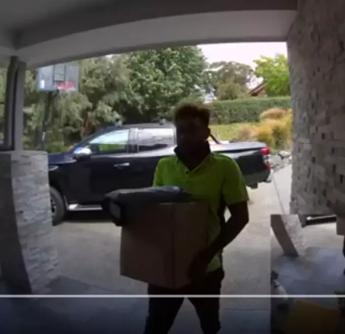 Parcel Videos Dataset