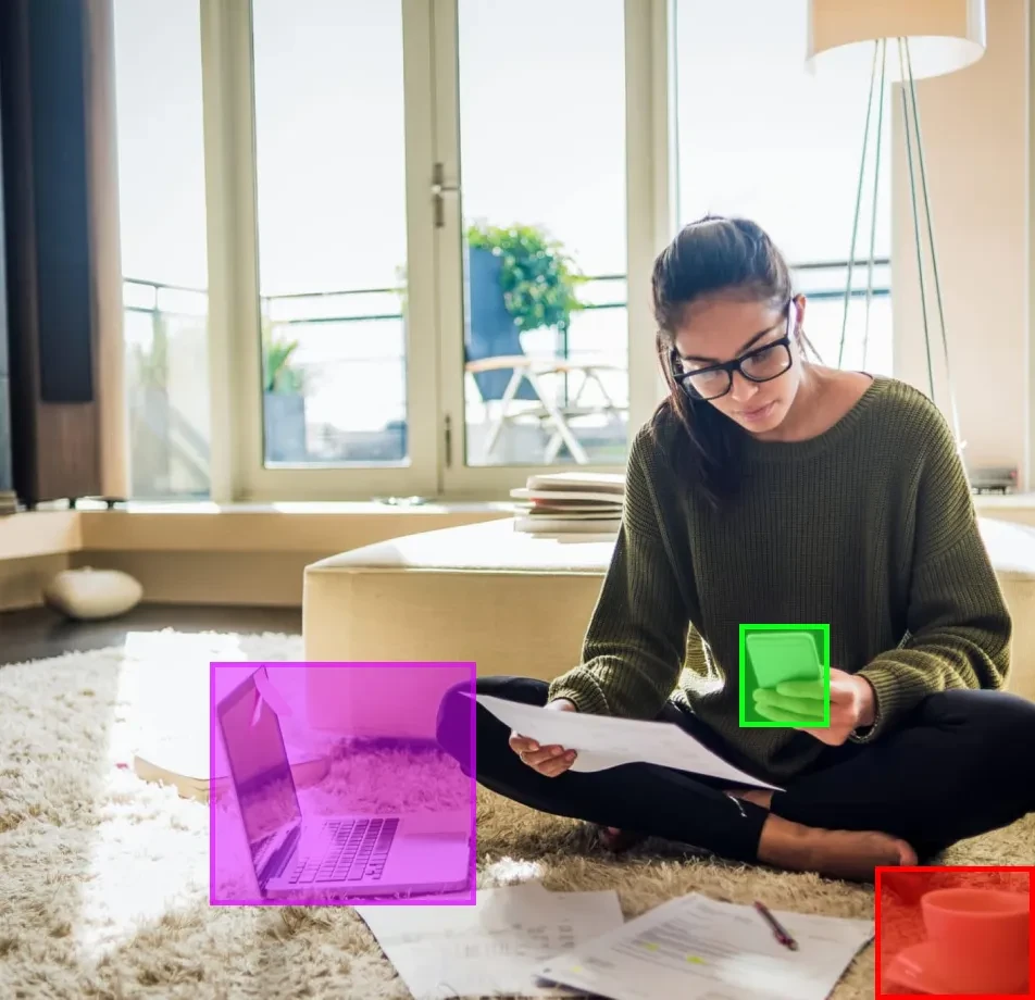 Objects and Distractions Segmentation Dataset