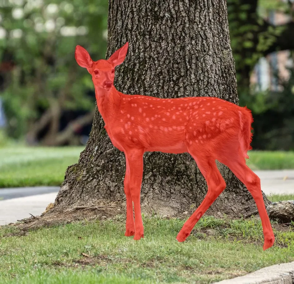 Obvious Objects Segmentation Dataset
