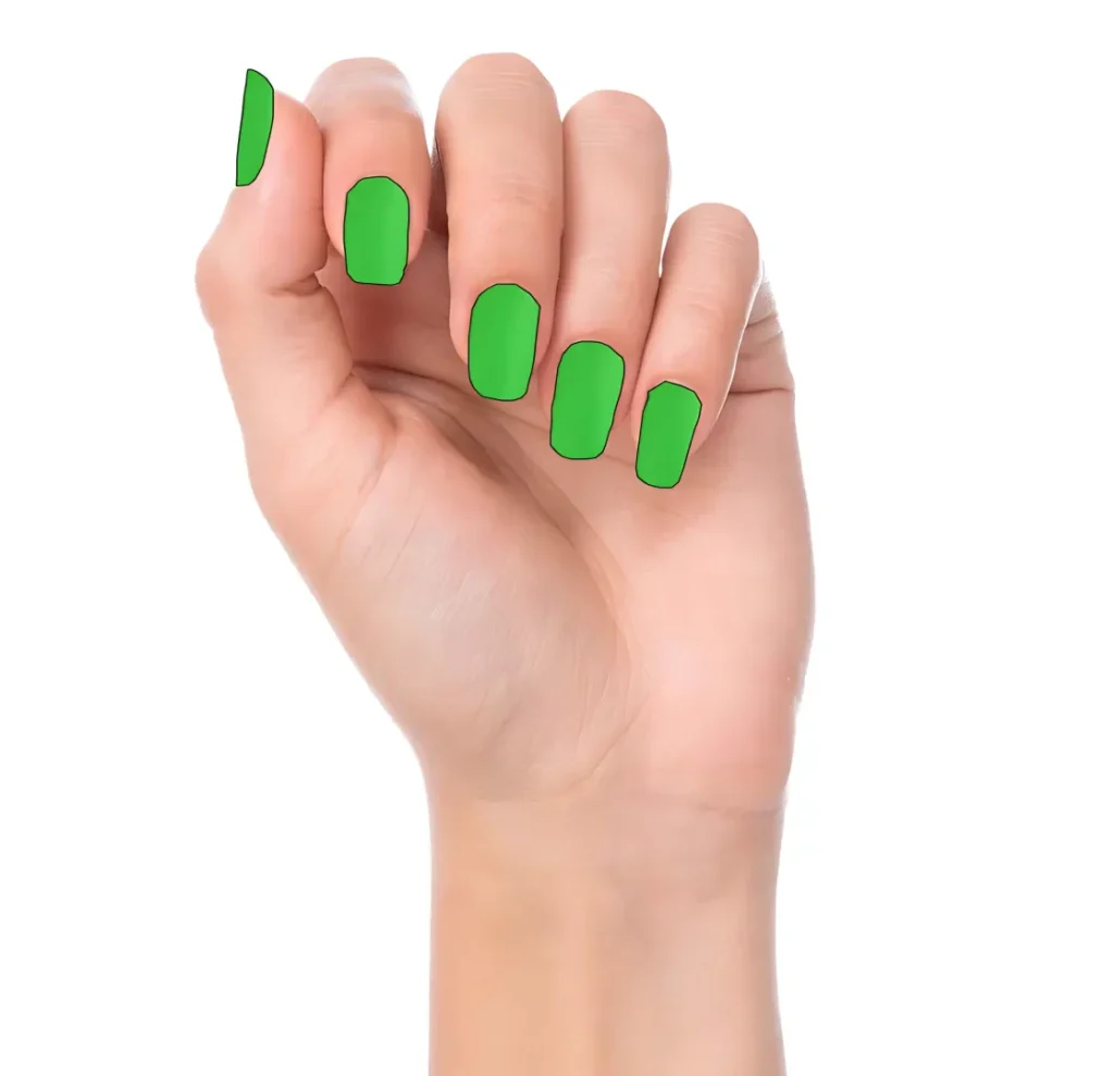 Nails Contour Segmentation Dataset