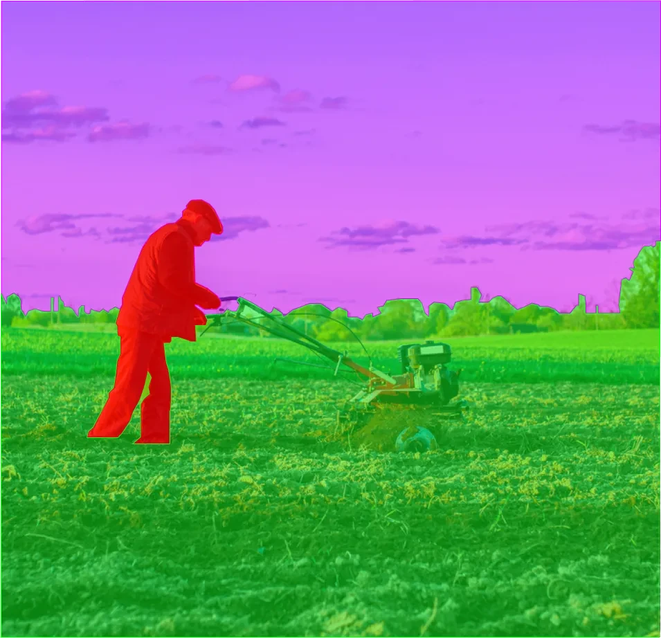 Panoptic Scenes Segmentation Dataset