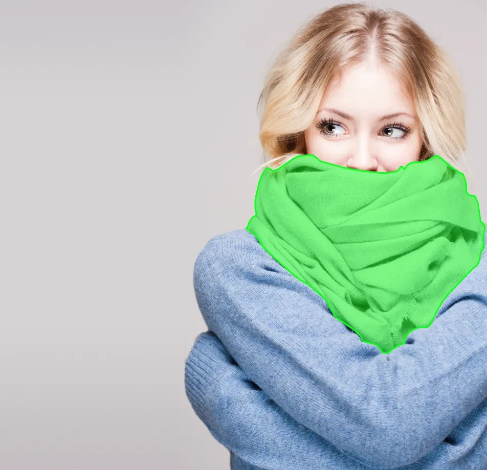 Scarf Segmentation Dataset