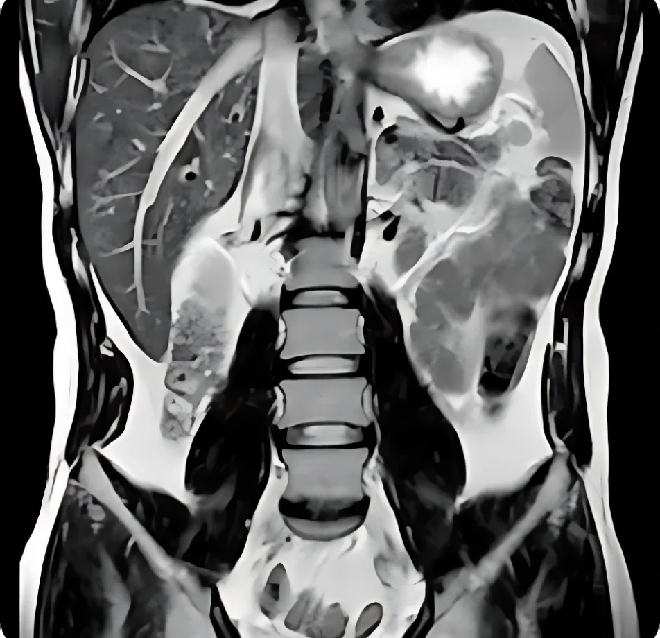 Case Study Image 1