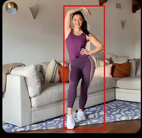 Person Home Activity Dataset