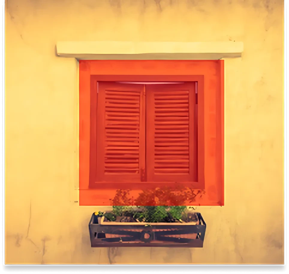 Case Study Image 1