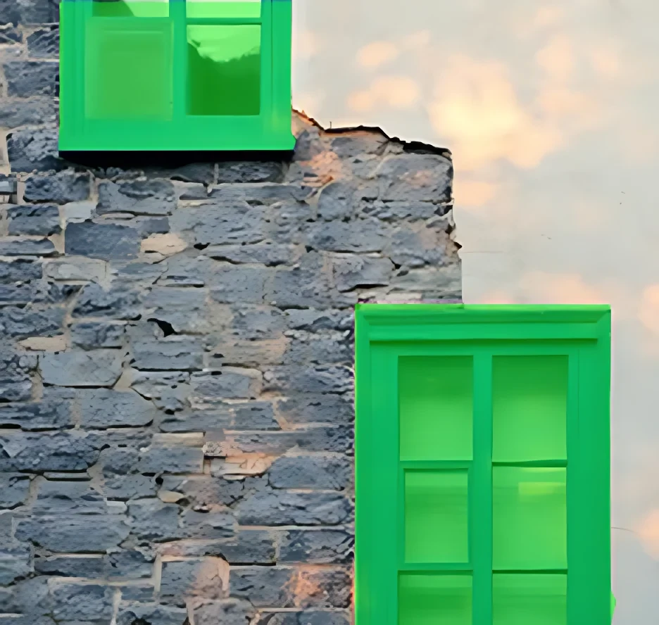 Case Study Image 2