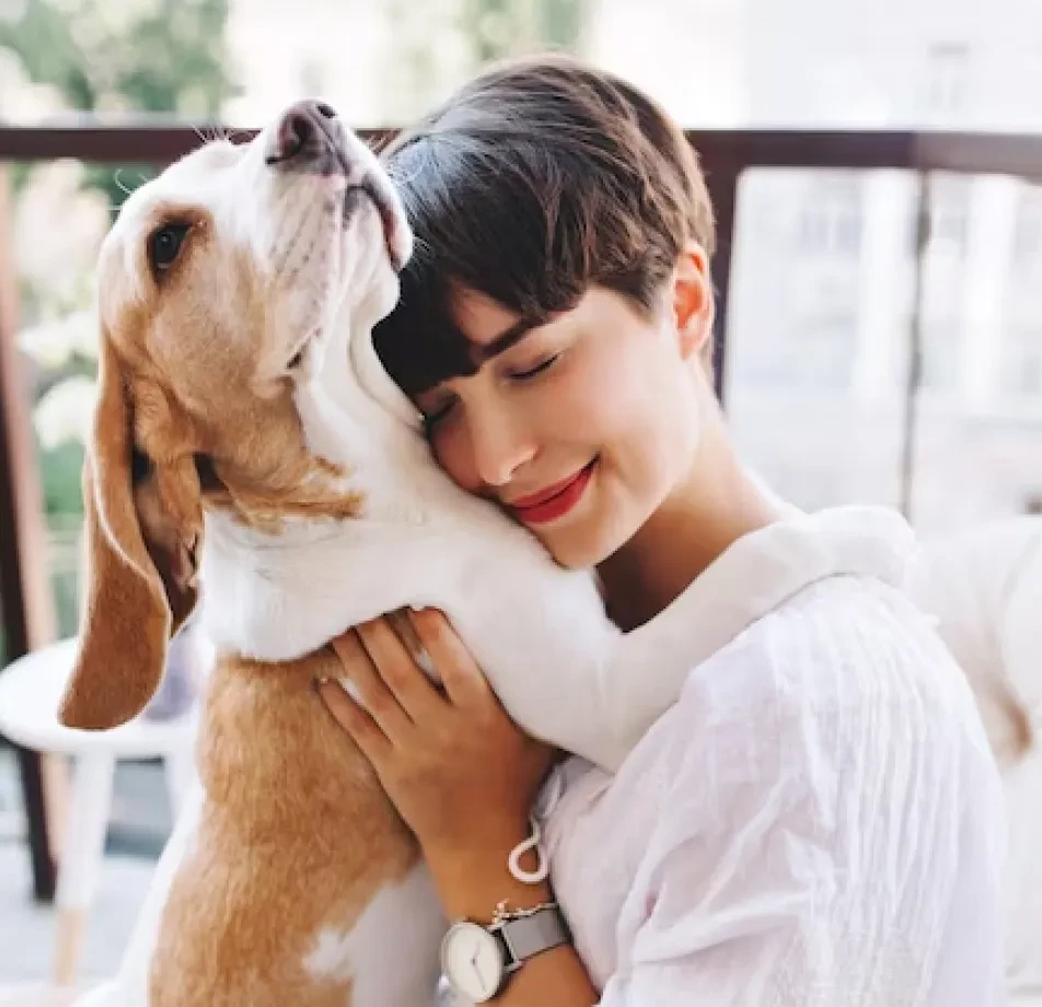 Pet Videos Data Collection