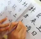Chinese Handwritten Composition Datasets