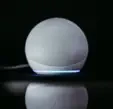 Alexa Wake Words in Canadian French (Adults)
