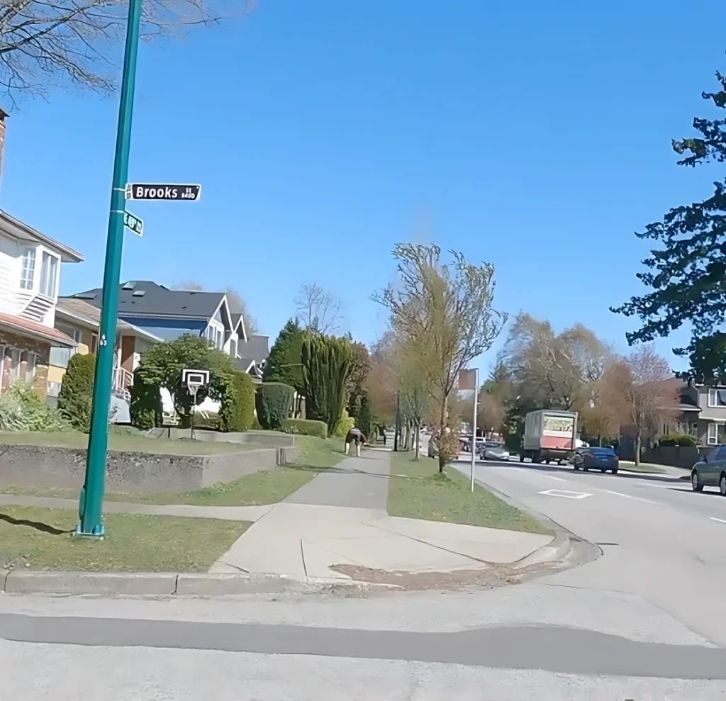 Walkway Segmentation Dataset