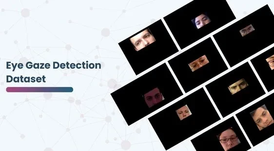 Eye Gaze Detection Dataset for Inattentive Driver Detection