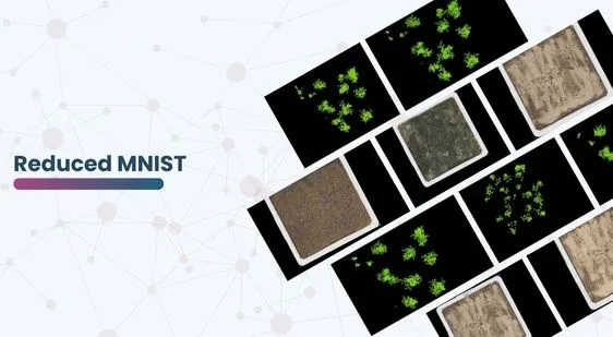 Plant Semantic Segmentation Dataset High Resolution Images Plant Semantic Segmentation Dataset High Resolution Images