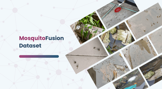 MosquitoFusion Dataset
