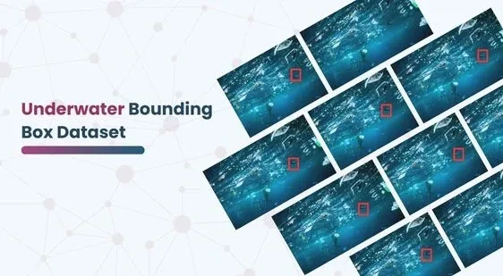 Underwater Bounding Box Dataset
