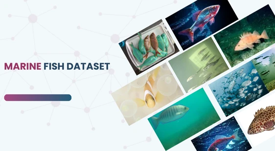 Marine Fish Dataset