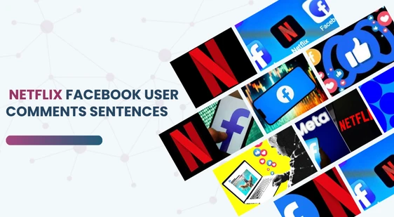 Netflix Facebook user Comments-Sentences for LLM