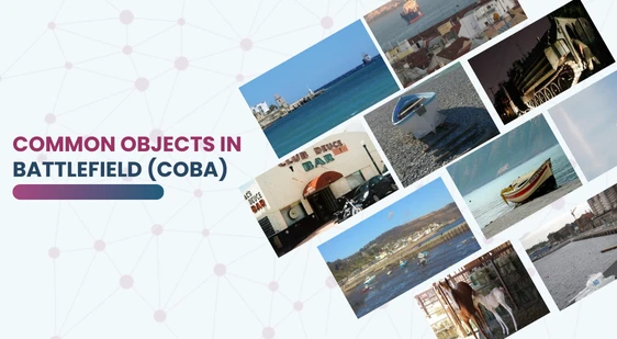 Common Objects in Battlefield (COBA)