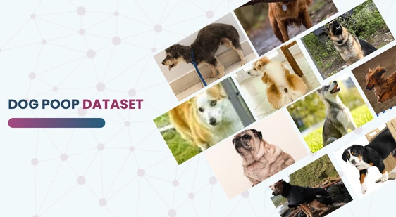 Dog Poop Dataset