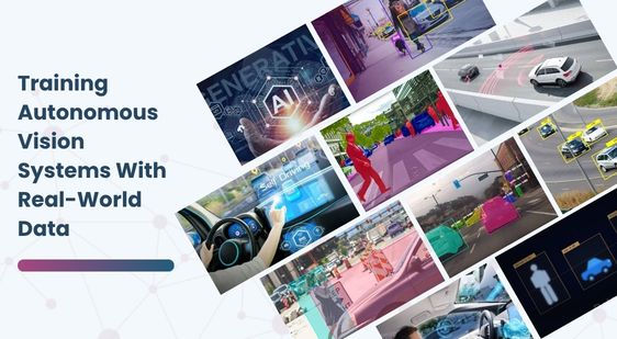 Training Autonomous Vision Systems With Real-World Data