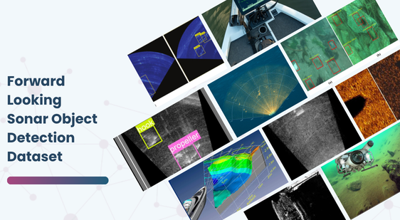 Forward Looking Sonar Object Detection Dataset