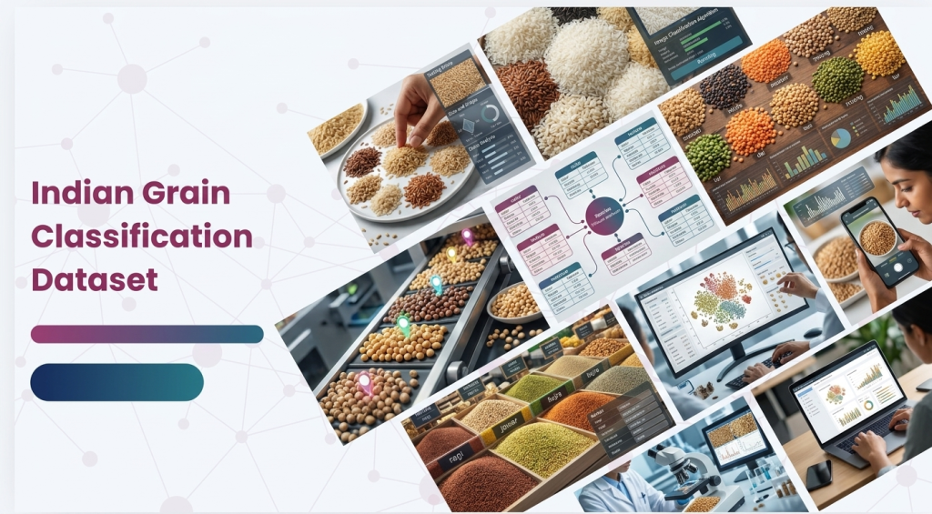 Indian Grain Classification Dataset