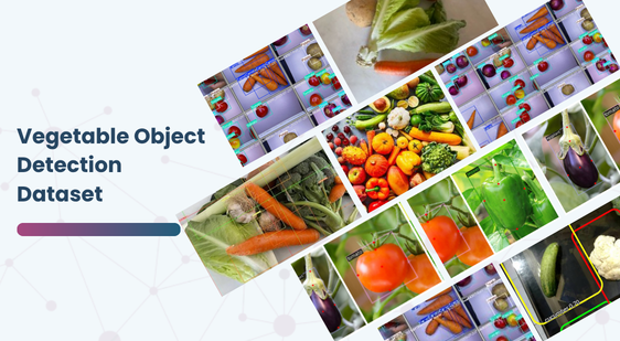 Vegetable Object Detection Dataset