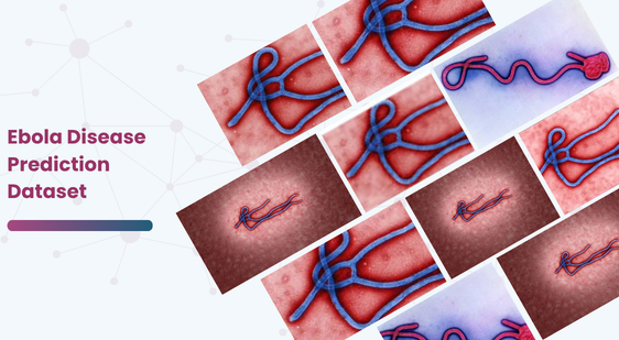Ebola Disease Prediction Dataset