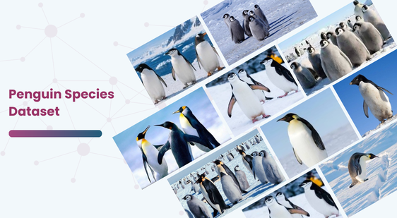 Penguin Species Dataset