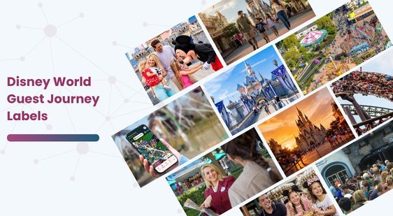 Disney World Guest Journey Labels Dataset