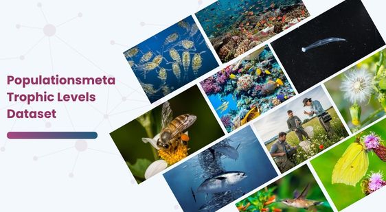 Populationsmeta_Trophic_Levels Dataset