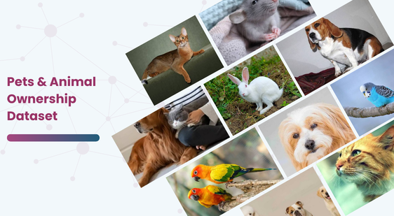 Pets & Animal Ownership Dataset